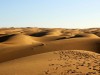 7,000-Year-Old DNA Reveals a Lost Human Lineage in the Sahara