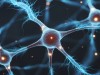 Scientists Identify the “Missing Link” Driving Parkinson’s Brain Damage