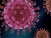 Nipah Virus Cases in India Are Triggering Regional Alarms, Here’s What Scientists Know So Far