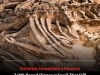 7,000-Pound Dinosaur Mummy Unearthed in North Dakota Could Reveal Preserved Skin