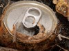 Couple Unearths 1,400 Gold Coins Worth Millions After Spotting Rusty Can on Walk