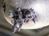 A Purple “Alien” on the Space Station Turned Out to Be a Potato