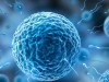 Can Humans Reproduce in Space? New Study Reveals Sperm Navigation Loss