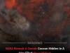 NASA Captures Stunning New View of the Mysterious Comet Shaped Cocoon Nebula