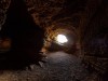New Zealand cave uncovers 1‑million‑year‑old bird and frog fossils, revealing lost forest