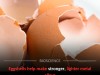 Scientists Are Using Eggshells To Create Stronger And Lighter Metal Alloys