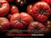 Move Over Lycopene This Hidden Tomato Compound Could Protect Your Liver From Disease