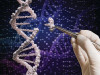 Bacterial Genetics