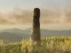 Giant 8-Meter-Tall Prototaxites Hint at an Extinct Evolutionary Lineage Before Trees