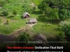 LiDAR Reveals Amazon Civilization That Supported Millions and Built Thousands of Earthworks