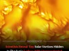 Scientists Discover Mysterious Tiny Vortices Swirling Across The Surface Of The Sun