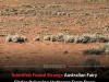 Scientists Discover Australian Fairy Circles Are Leaking Natural Hydrogen From Deep Underground