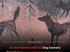Wolves Without Dog Ancestry on Swedish Island Hint at Pre‑Dog Human Care