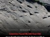 80,000-Year-Old Neanderthal Footprints Reveal Children and Possible Hunt on Portugal Coast