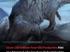 Mysterious 130 Million Year Old Giant Footprints Challenge What We Know About Early Mammals