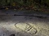 A Father and His Daughter Stopped Along a Road in Norway and Stumbled Upon 3,000-Year-Old Ancient Carvings Unlike Any Seen Before