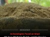 Archaeologists Baffled by Perfectly Intact 400 Year Old Pot Found Buried in Florida