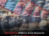 Rare 3D Fossil Discovery in Arctic Norway Reveals Hidden Anatomy of Ancient Life