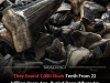 Scientists Discover 149 New Species and a Massive Cache of 22 Million Year Old Shark Teeth
