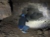 A Group of Researchers Found a Tunnel System Beneath a Village, But No One Knows Who Built Them