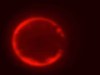 Scientists Build First Fully Synthetic Cell From Scratch That Grows, Copies DNA and Divides