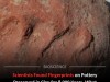Ancient Fingerprints on 8,000-Year-Old Pottery Reveal First Dedicated Workshop