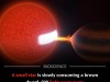 Astronomers Spot A Star Slowly Cannibalizing Its Nearby Brown Dwarf Companion