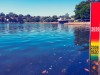 Sinking Cities Accelerate Sea Level Rise, New Study Links Human-Driven Land Subsidence