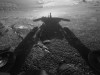 NASA’s Opportunity Rover Sent Haunting Final Message After 15 Years On Mars