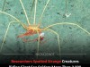 Bizarre Deep-Sea Hitchhikers Spotted Riding Giant Spiders 3,000 Meters Below the Surface