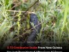 Scientists Just Named A Newly Discovered Snake Species After Guns N’ Roses Legend Slash