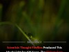 New Study Shows Firefly Brightness Overestimated By 1,000×