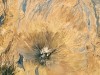 A Tanzanian Volcano Could Unlock Mercury’s Greatest Geological Mystery