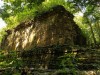 A Student Searched a Dataset on a Hard Drive and Found a Massive Lost Maya City Hidden Beneath the Jungle