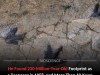 Teenager Found This Fossil In 1958 And It Is Now Australia’s Oldest Dinosaur Discovery