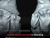 New 55-Million-Year-Old Primate Fossil From Wyoming Reveals Parallel Evolution Path