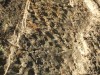 During A Hike, Scientists Discovered That A Cliff In Alaska Revealed Thousands Of Well-Preserved Dinosaur Tracks At Sunset