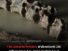 Armored Warrior Crocodile Roamed Brazil 240 Million Years Ago as a Pre-Dinosaur Predator