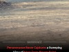 Perseverance Rover Unveils Panorama of Broom Point, Offering Insight Into Jezero Crater
