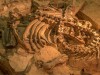 Scientists Dig Up A 90-foot Giant Dinosaur In Thailand That Could Crush Four Elephants