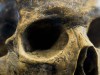 Neanderthals Were Once Thought to Communicate with Grunts, Scientists Now Believe They Had Language