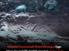 Paleontologists Found Dinosaur Eggs Filled With Crystals Instead Of Embryos