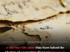 400-Year-Old Letter Uncovers Real King Qashqash of Old Dongola