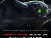 Scientists Reveal the True Colors of Mammals That Lived Among Dinosaurs