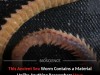 Ancient Bristle Worm Jaws Uncover New Bio-Metal Class With Metal-Like Strength