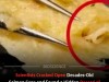 Decades‑Old Canned Salmon Reveal Ocean Health Through Parasite Counts