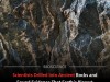 Ancient Rock Gases Reveal Local Origin for 2‑Billion‑Year Carbon Anomaly