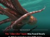 Rare Alien-Like Bigfin Squid Filmed Two Miles Beneath The Pacific Ocean