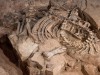Scientists Reveal Horns and Armor on England’s First Complete Dinosaur Skeleton After 160 Years