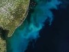 NASA Spots Massive Blue-Green Bloom Swirling Off the U.S. East Coast, Visible From Space
